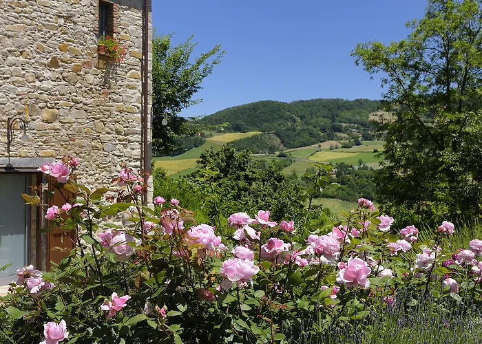 Lodole Bed & Breakfast 4*