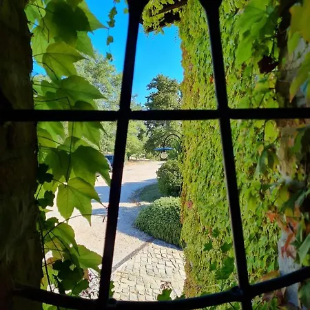 B&B Lodole 몬주노