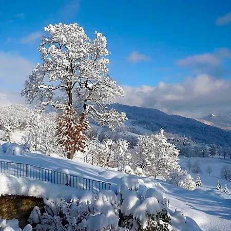 Bed and Breakfast Lodole 4*