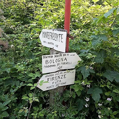 Lodole Bed and Breakfast