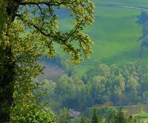 罗多勒b＆b酒店 4*